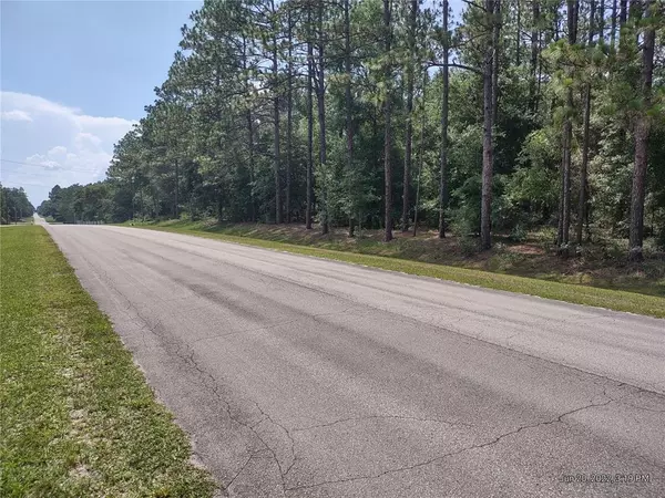 Dunnellon, FL 34432,TBD SW 67 LN