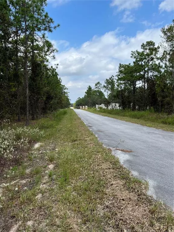 Dunnellon, FL 34431,Lot 12 SW ALVAREZ RD