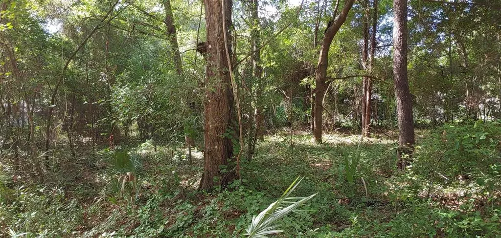 SEQUOIA LOOP TRAK, Ocklawaha, FL 32179