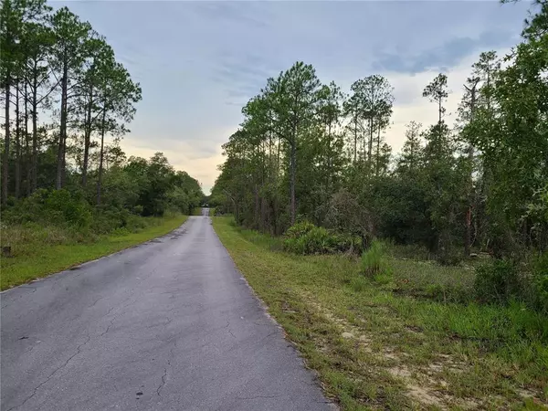 Dunnellon, FL 34431,00 TAMARIX CT