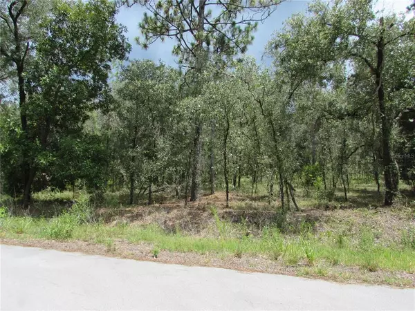 Dunnellon, FL 34431,Lot 6 NW SUTTON AVE