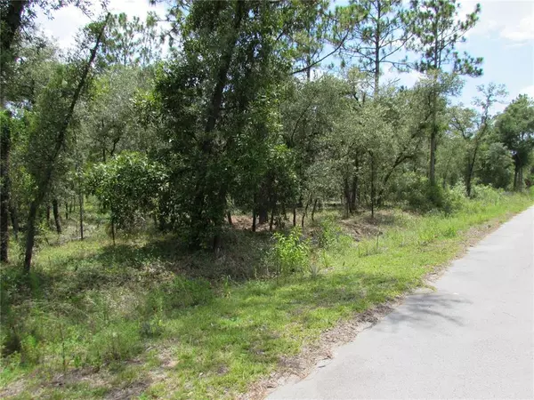 Dunnellon, FL 34431,Lot 6 NW SUTTON AVE