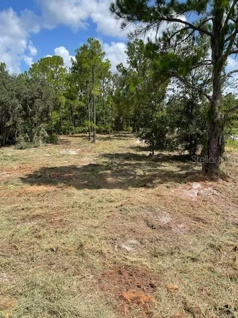 Frostproof, FL 33843,000 MCCLELLAN RD