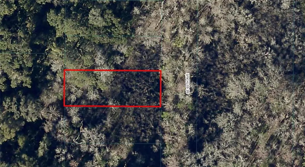 Summerfield, FL 34491,Lot 17 SW 65TH AVE