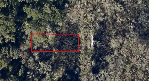 Lot 17 SW 65TH AVE, Summerfield, FL 34491