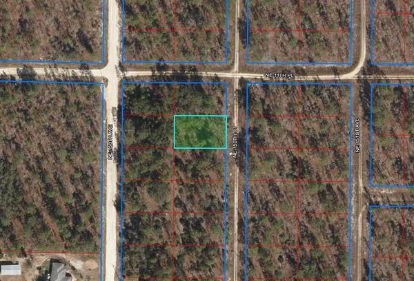 00 NE 150TH CT, Williston, FL 32696