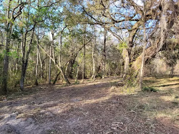 10+ac (Springs @ OC #6a) E HWY 318, Fort Mc Coy, FL 32134