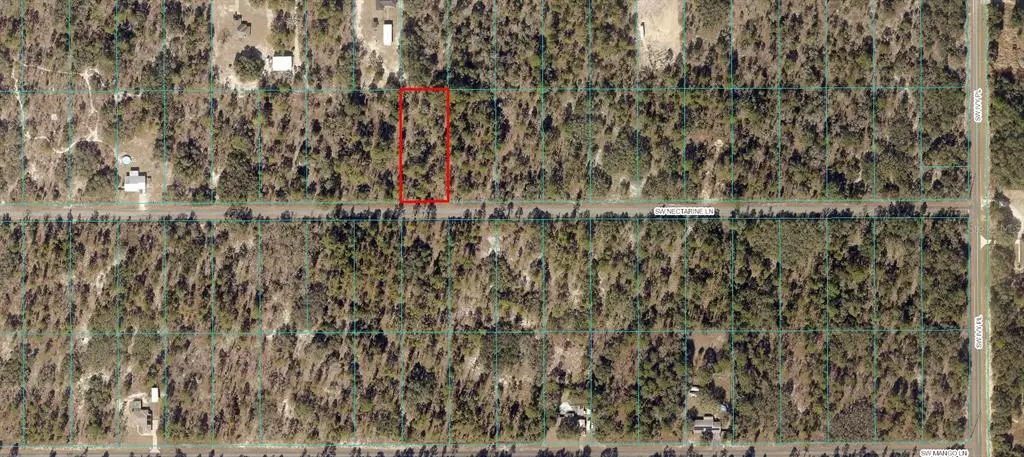 Dunnellon, FL 34431,22149 SW NECTARINE LN