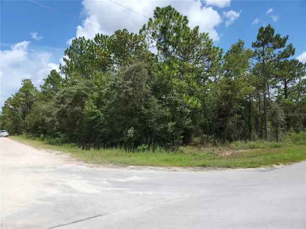 Dunnellon, FL 34432,Lot 12 SW 129TH TER RD