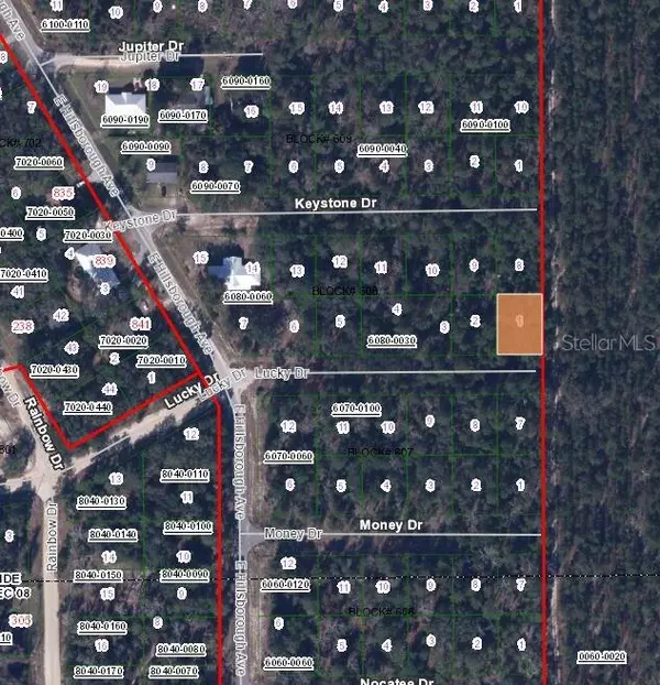 Florahome, FL 32140,312 LUCKY DR