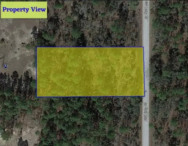 LOT 4 NW HOLLY RD, Dunnellon, FL 34431