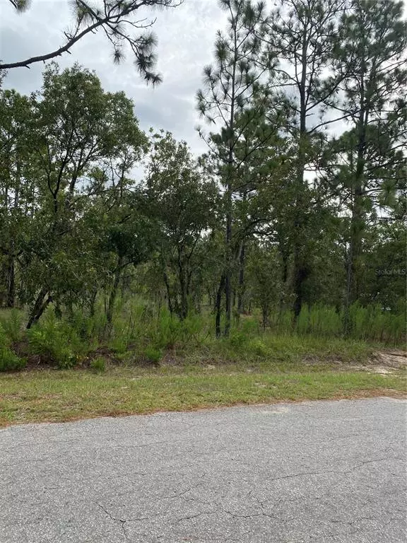 Dunnellon, FL 34431,0000 SW 211TH CIR