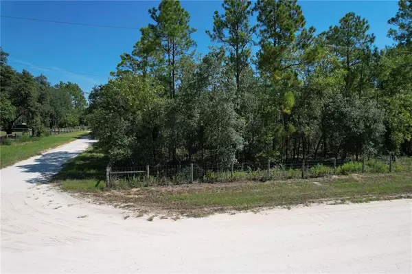 Williston, FL 32696,TBD SE 6TH LN - LOT 7