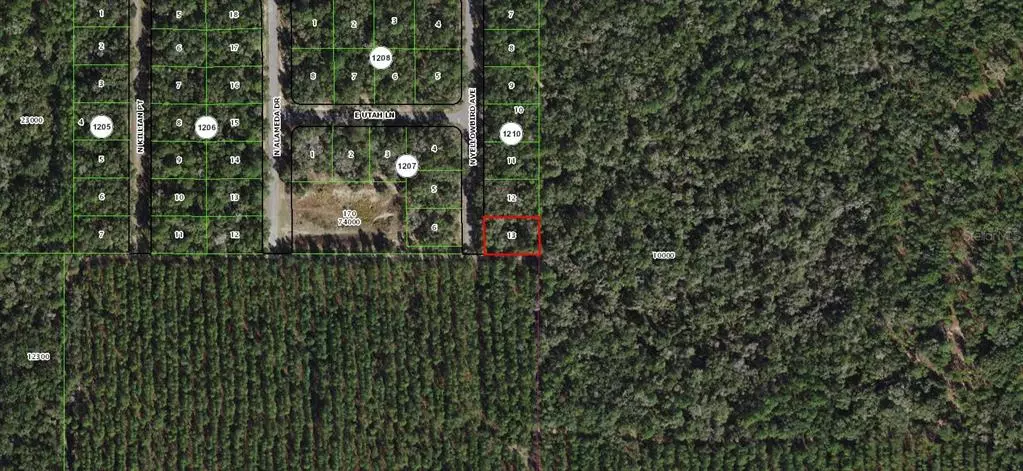 Citrus Springs, FL 34434,8011 N YELLOWBIRD AVE