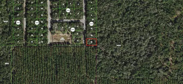 8011 N YELLOWBIRD AVE, Citrus Springs, FL 34434