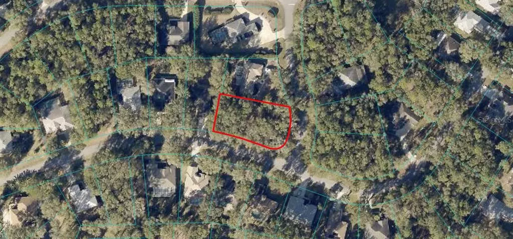 TBD SW 193RD CT, Dunnellon, FL 34432