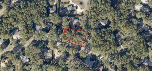 Dunnellon, FL 34432,TBD SW 193RD CT