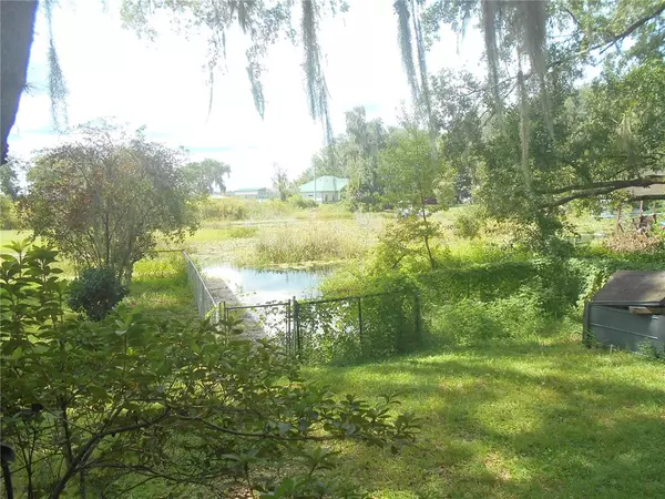 Salt Springs, FL 32134,14648 NE 248TH TER