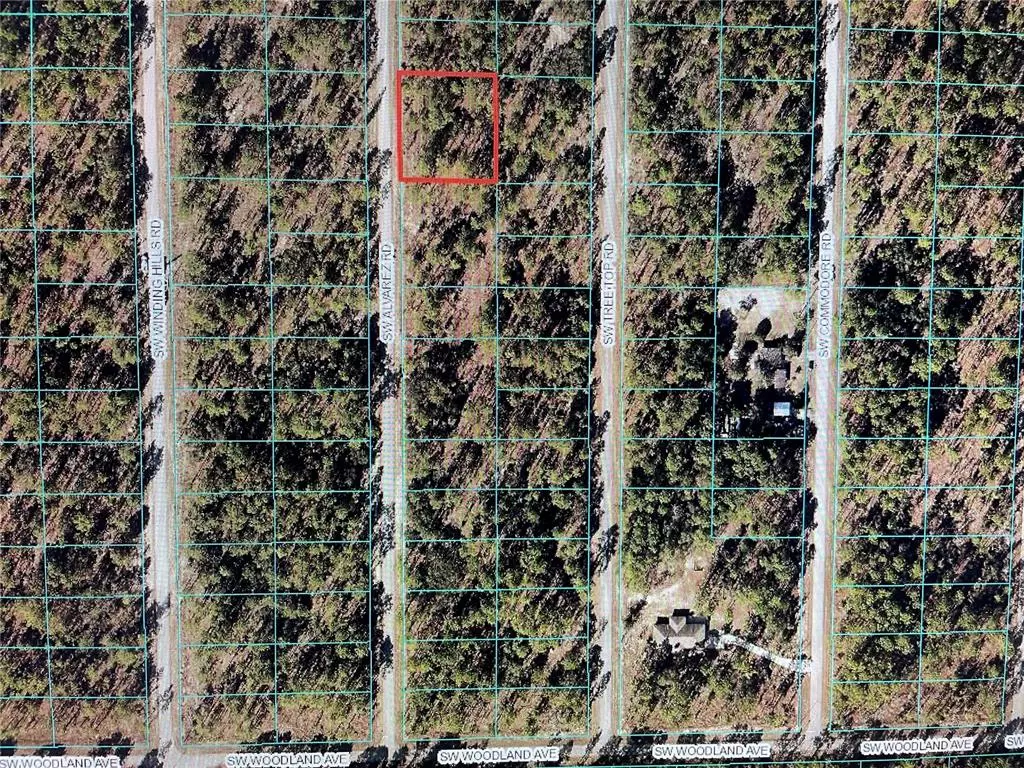 Dunnellon, FL 34431,000 SW ALVAREZ RD