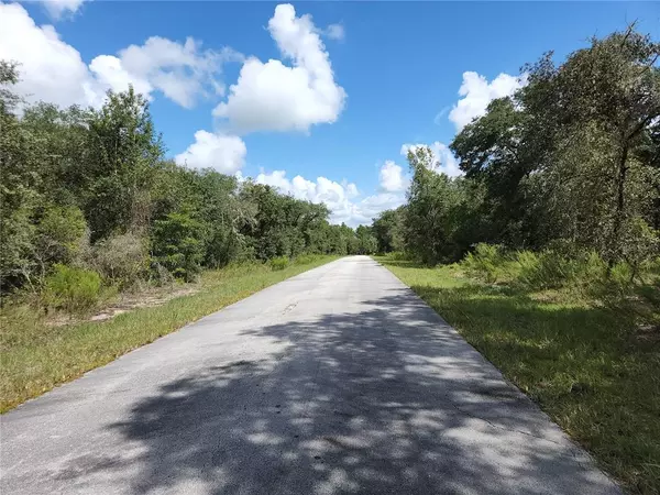 Dunnellon, FL 34431,lot 37 SW BAMBOO LN