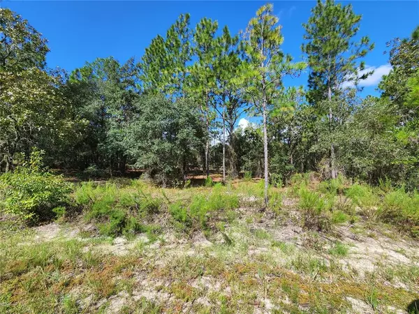 Dunnellon, FL 34431,Lot 8 SW SANDS POINT AVE