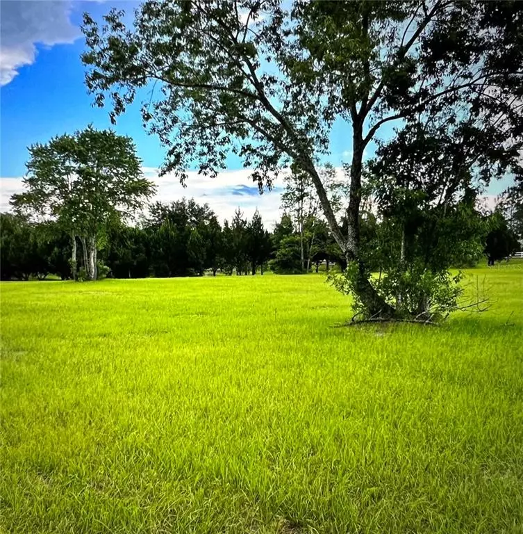 Belleview, FL 34420,SE 61ST TERRACE #LOT 12