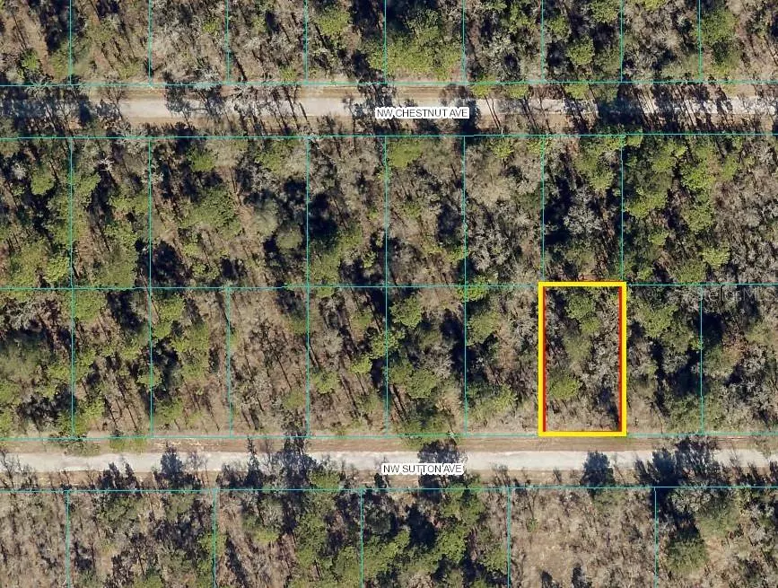 Dunnellon, FL 34431,00 NW SUTTON AVE