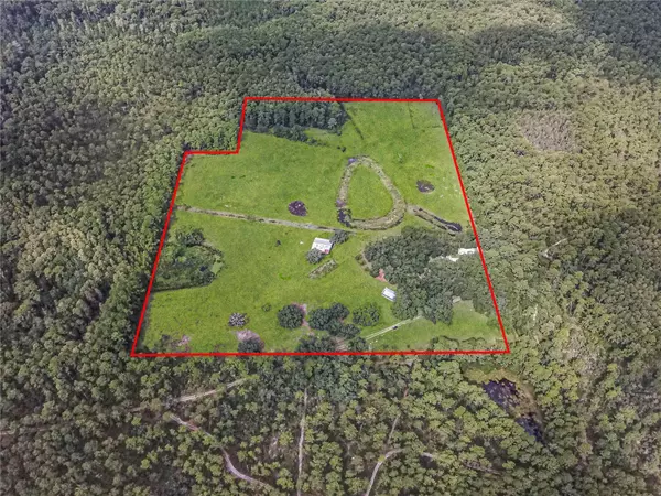 Silver Springs, FL 34488,3350 NE 125TH TERRACE RD