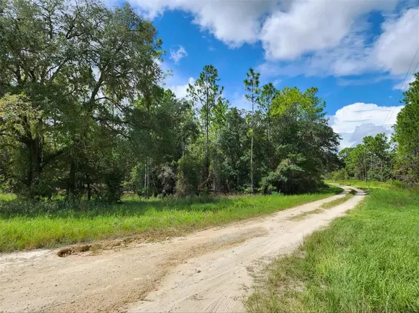 Dunnellon, FL 34432,0 SW 56 LN