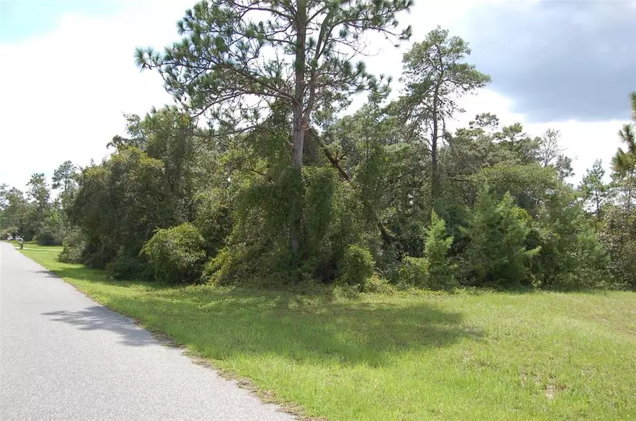 SW 154TH LOOP, Ocala, FL 34473