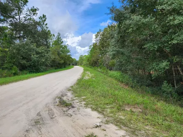 Dunnellon, FL 34432,0 SW 89 ST