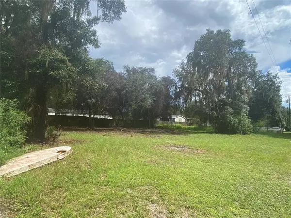 Citra, FL 32113,0 NE 46TH CT