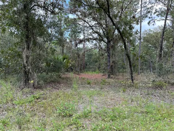 Dunnellon, FL 34431,Lot 13 SW SOUTHWATER CT