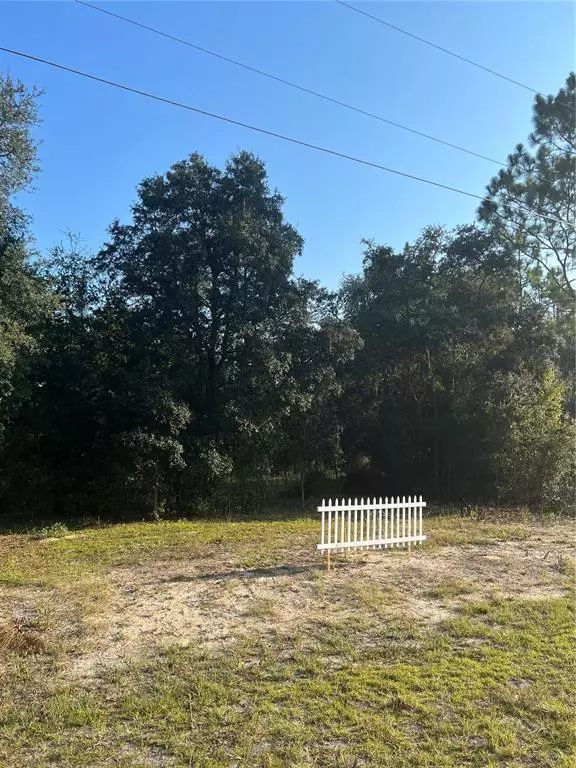 Dunnellon, FL 34431,Lot 19 SW SURF BLVD