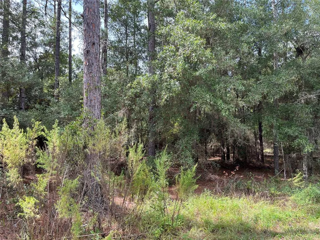 Dunnellon, FL 34431,00 SW 206TH CT