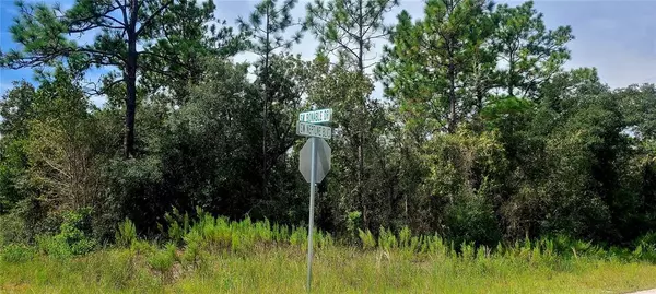 Dunnellon, FL 34431,0 SW NEPTUNE BLVD