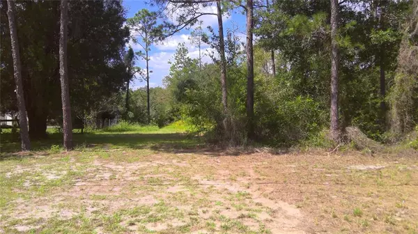 Dunnellon, FL 34431,lot 11 SW ZINNIA CT