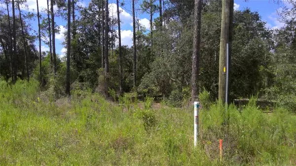 Dunnellon, FL 34431,lot 11 SW ZINNIA CT