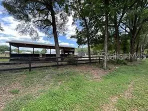 TBD HWY 42, Summerfield, FL 34491