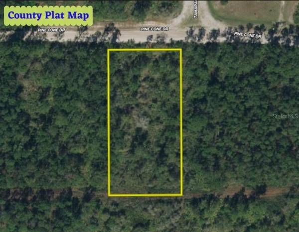 137 PINE CONE DR, Georgetown, FL 32139