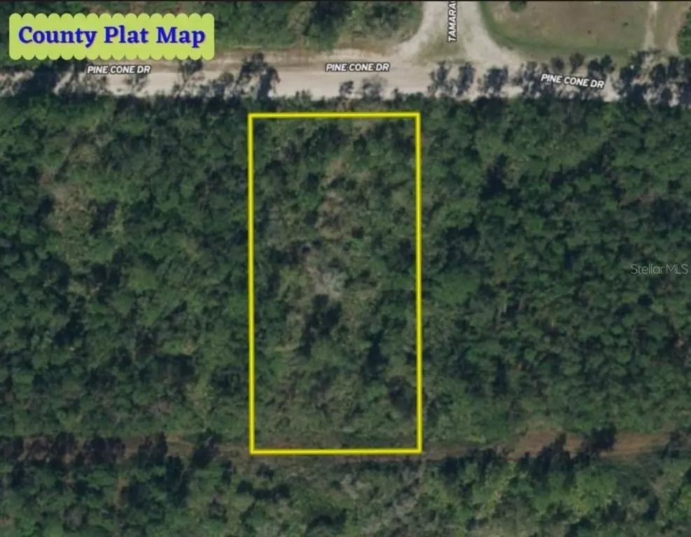 Georgetown, FL 32139,137 PINE CONE DR