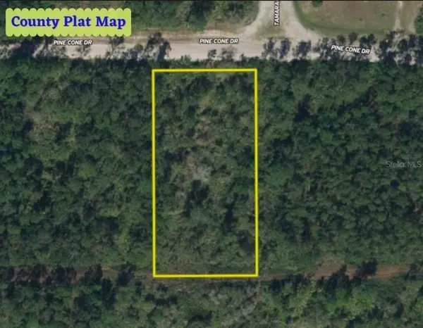 137 PINE CONE DR, Georgetown, FL 32139