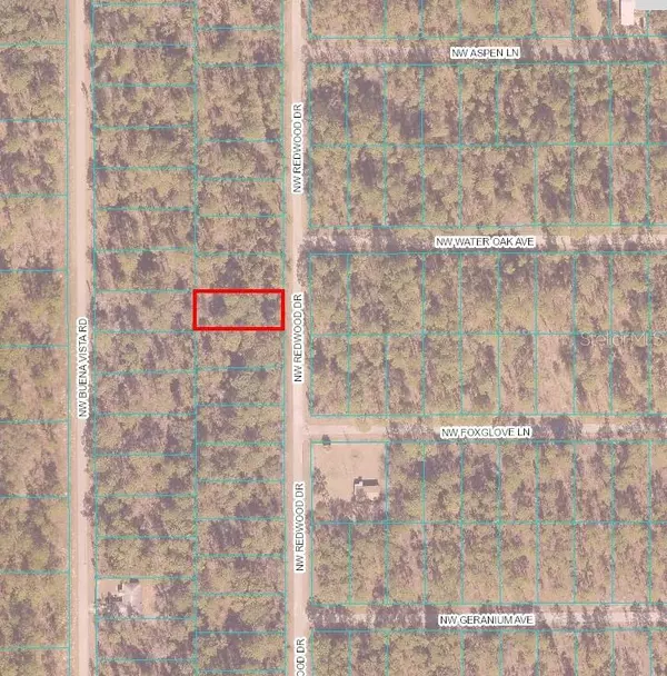 Dunnellon, FL 34431,00 NW REDWOOD DR