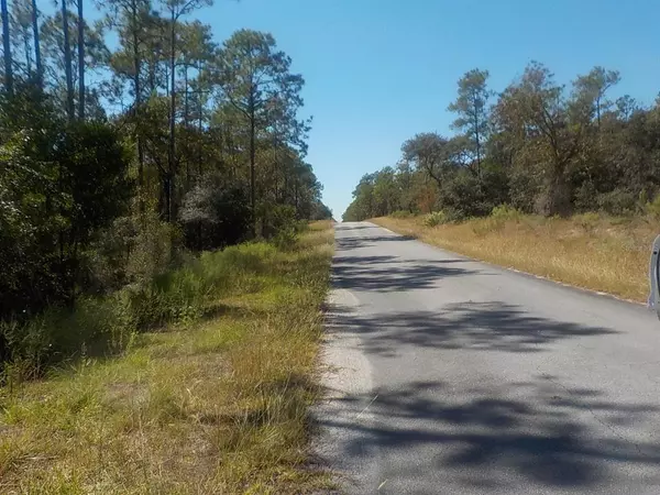 Dunnellon, FL 34431,TBD SW BARNACLE DR