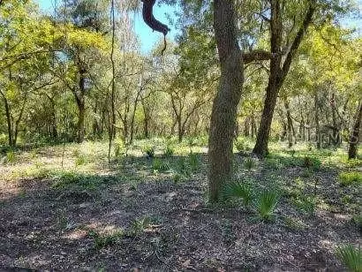 SE 52ND ST, Ocklawaha, FL 32179