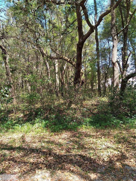 114TH LN, Dunnellon, FL 34432