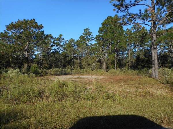 L 12 SW BIG TREE RD, Dunnellon, FL 34431