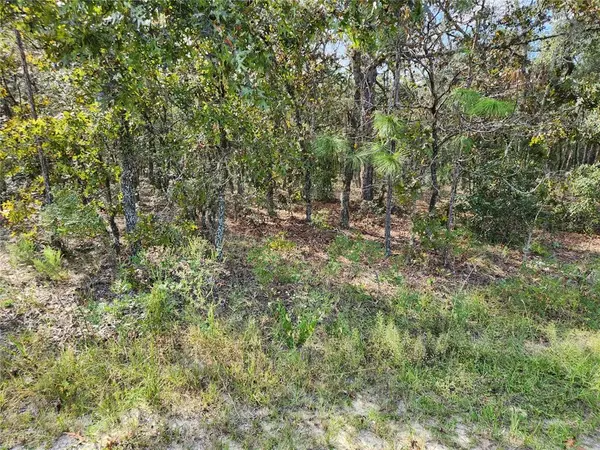 Dunnellon, FL 34432,LOT 10 SW 136TH TER