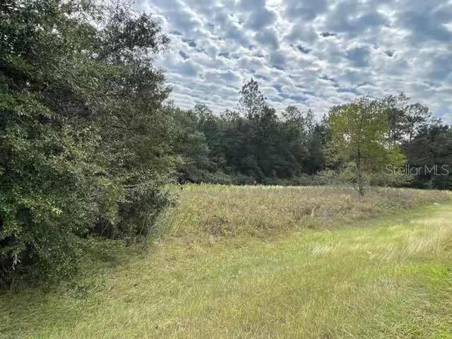 Lot 19 SW 140TH AVE, Ocala, FL 34481