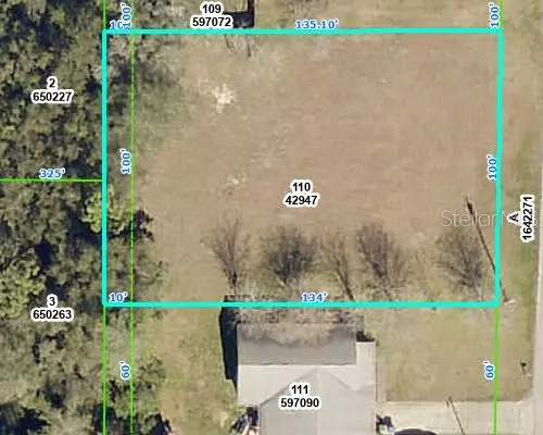 Ridge Manor, FL 33523,6103 FAIRWAY DR